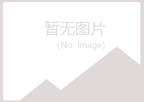 偃师曼山咨询有限公司